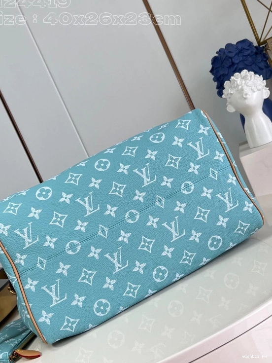 WIS 40 SPEEDY Louis Vuitton 1101